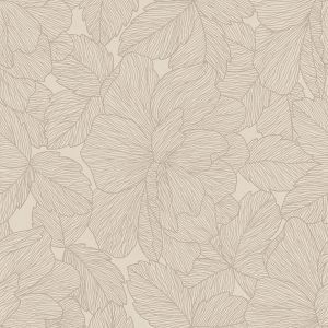 Caesar Peonia AGQF