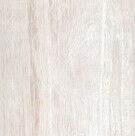 century selva